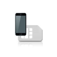 SIM card